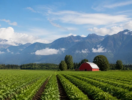 Farmland with the mountains behind it on the edge of Abbotsford BC