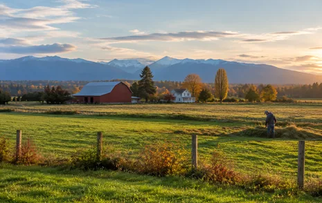 Open farm fields and tree lines on the edge of Aldergrove, Langley BC