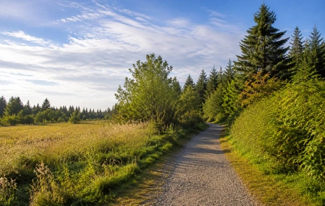 A gravel trail through meadow and forest at Campbell Valley Regional Park, Langley BC