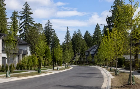 A new residential street under construction beside established treed lots in Langley BC