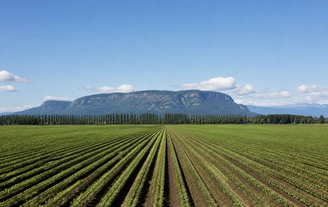 Farmland and a rural road in the Chilliwack valley BC