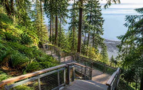 A zigzag wooden stairway descending through forest toward the shoreline at 1001 Steps, Ocean Park, South Surrey