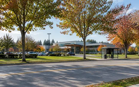A tree lined Fraser Highway boulevard near the hospital and recreation centre in Murrayville, Langley BC
