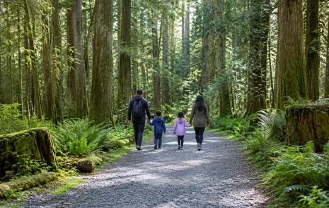 A family walking a forest trail in Watershed Park, North Delta, BC