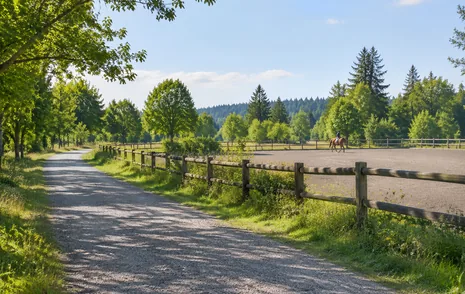A gravel multi use trail through meadow and trees in a Surrey BC park