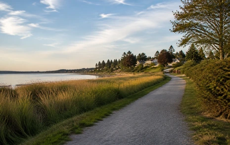 An aerial view of forest, water and greenspace on the Semiahmoo Peninsula in South Surrey
