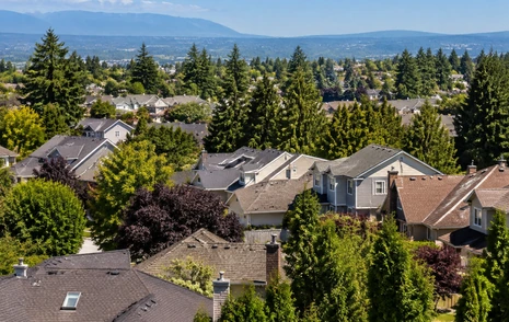 Established detached and townhome rooftops on a mature suburban street in Langley BC