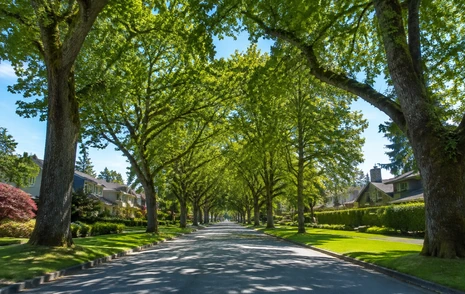 An aerial view of a treed Langley valley neighbourhood with the mountains behind