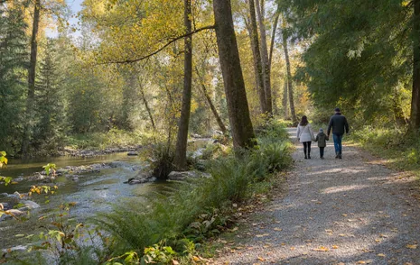 A family walking a creekside park trail under tall trees in West Abbotsford BC