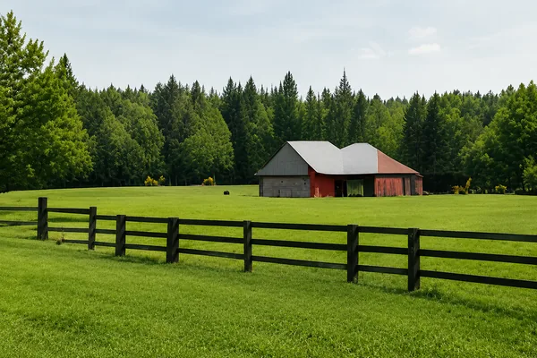 A paddock fence across open pasture with a small barn and treed ridge, acreage for sale in Campbell Valley, Langley BC